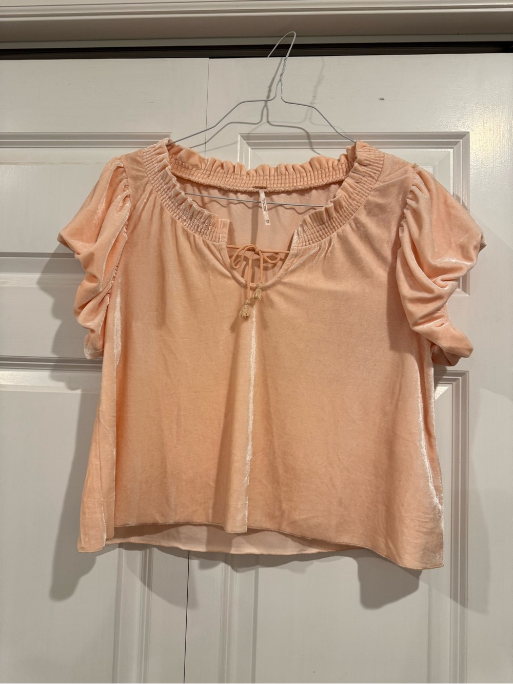 Free People Velvet Puff Sleeve Tie Front Top Blush Pink Size XS - Picture 2 of 16